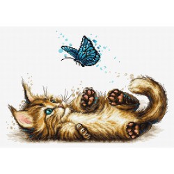 B7013 Игриво коте